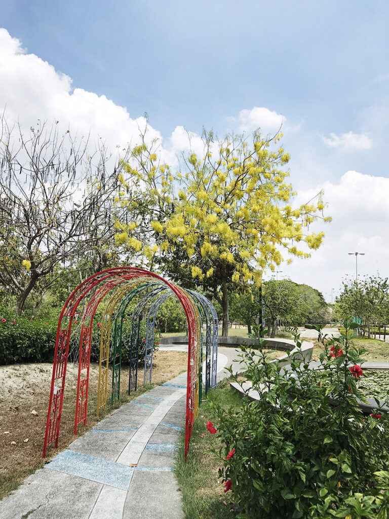 東山服務區阿勃勒花季盛開